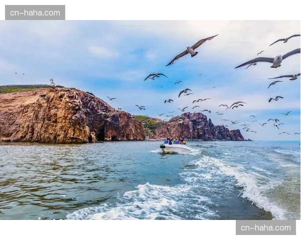 福建晋江文旅不敌山东，布里斯科27分6助攻难掩整体传导生涩